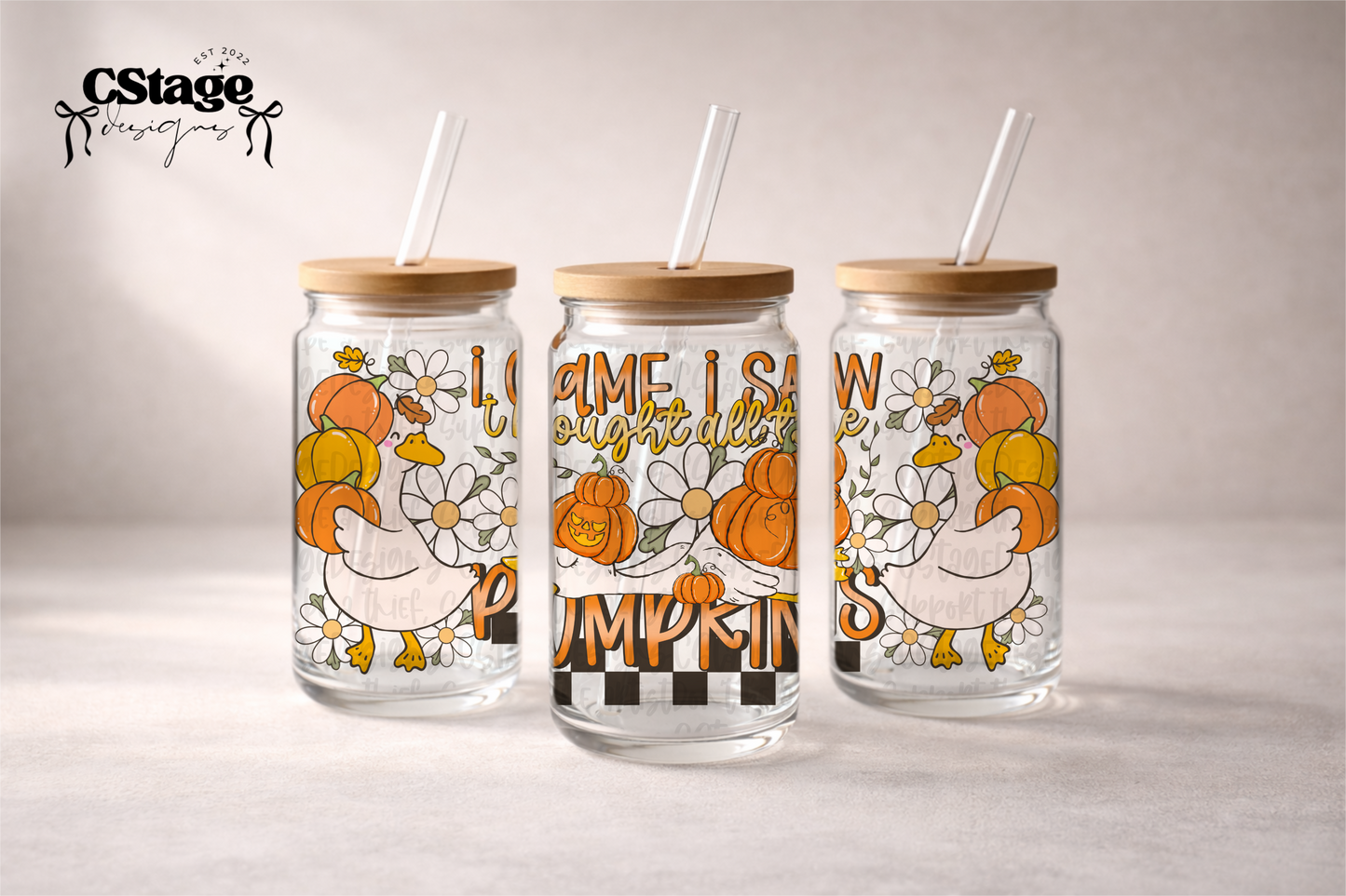 I Came. I Saw. I bought all the pumpkins Libby Wrap Digital Image PNG