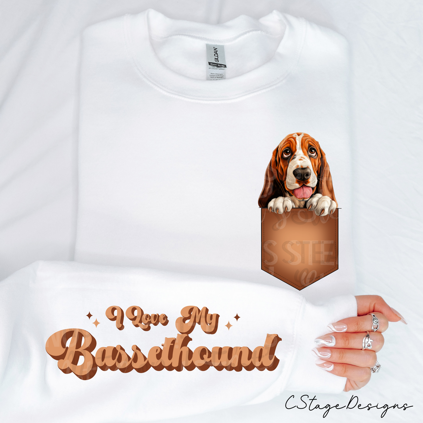 Bassetthound Digital Image PNG