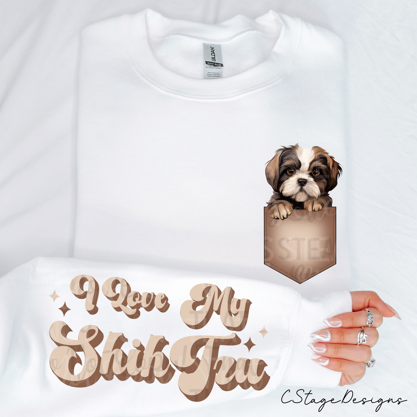 Shih Tzu Digital Image PNG