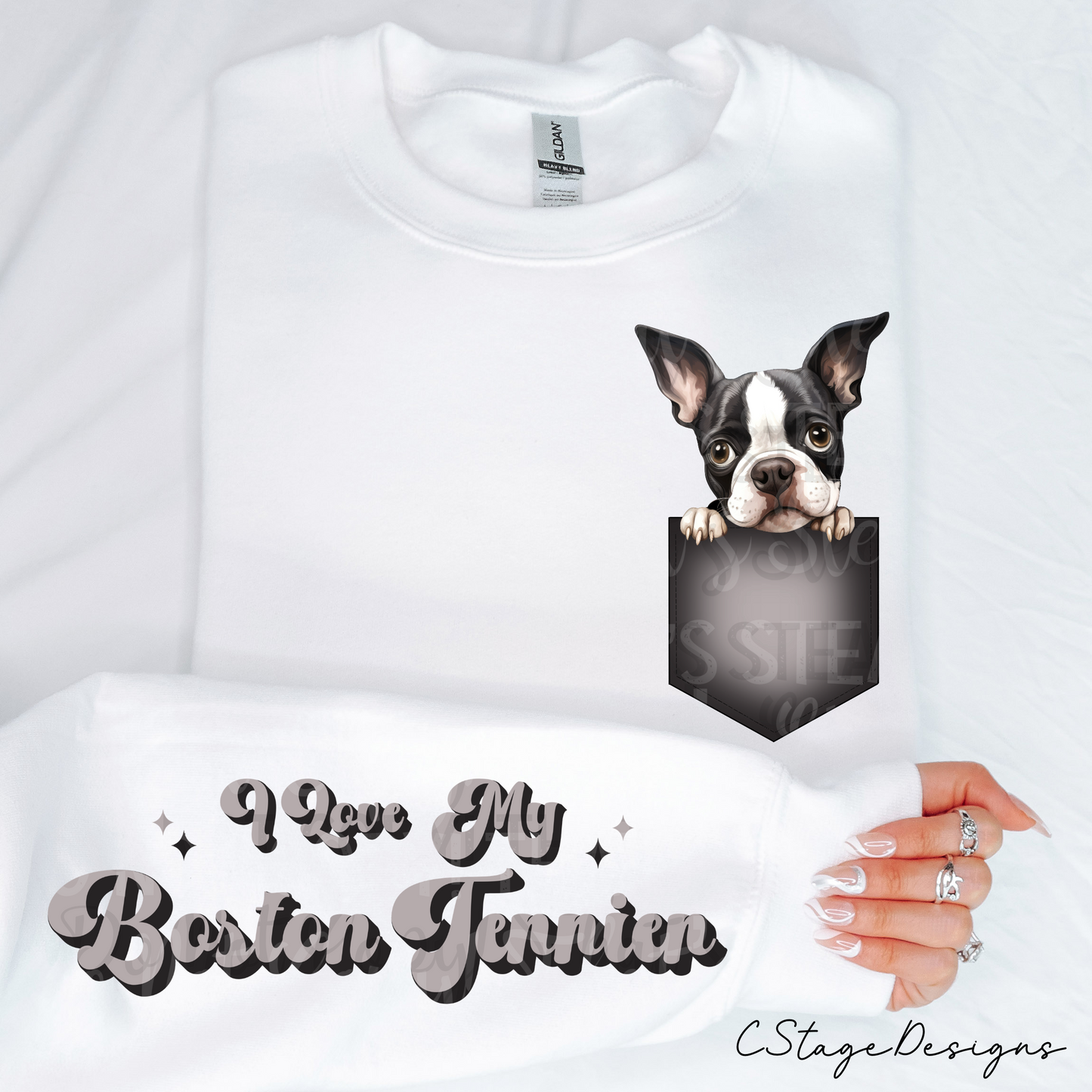 Boston terrier Digital Image PNG