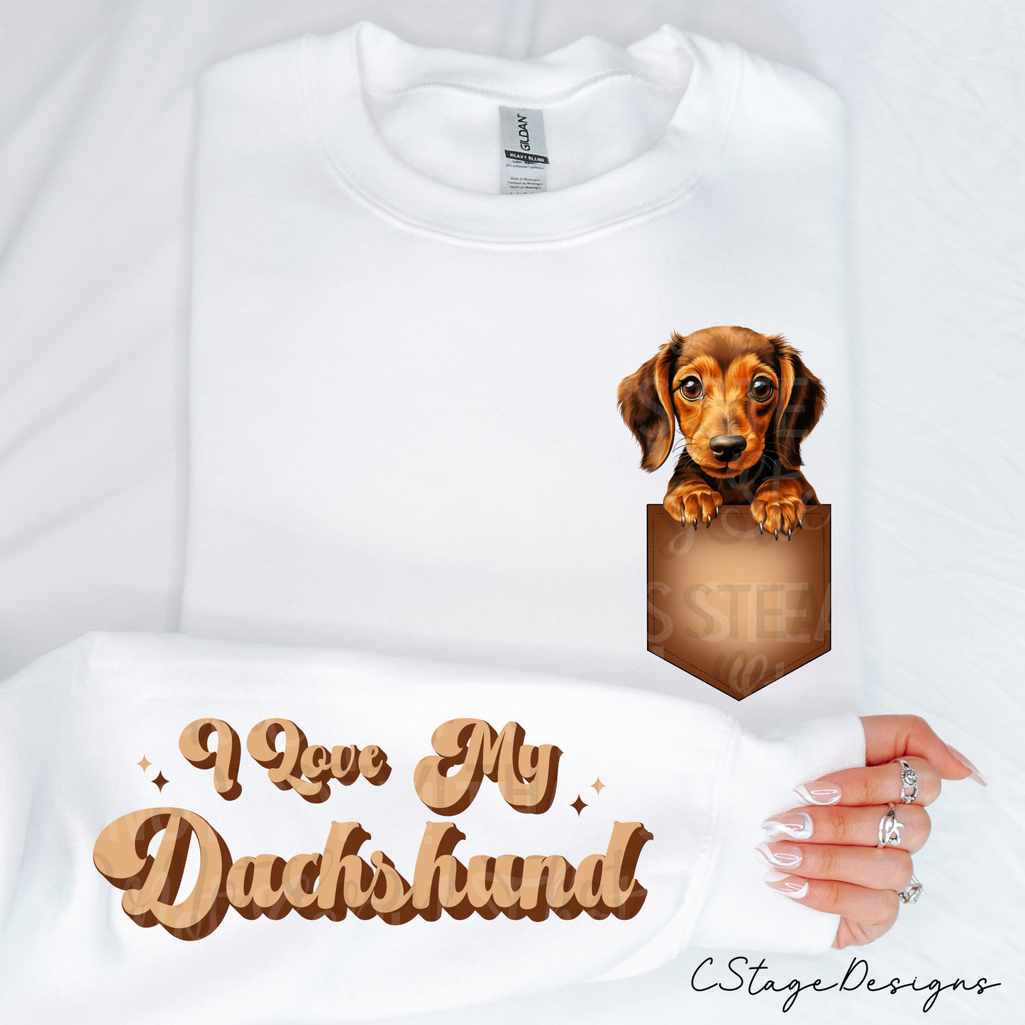 Dachshund digital image png