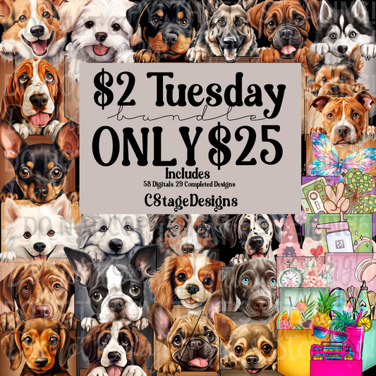 Pocket & Sleeve $2 Tuesday Bundle