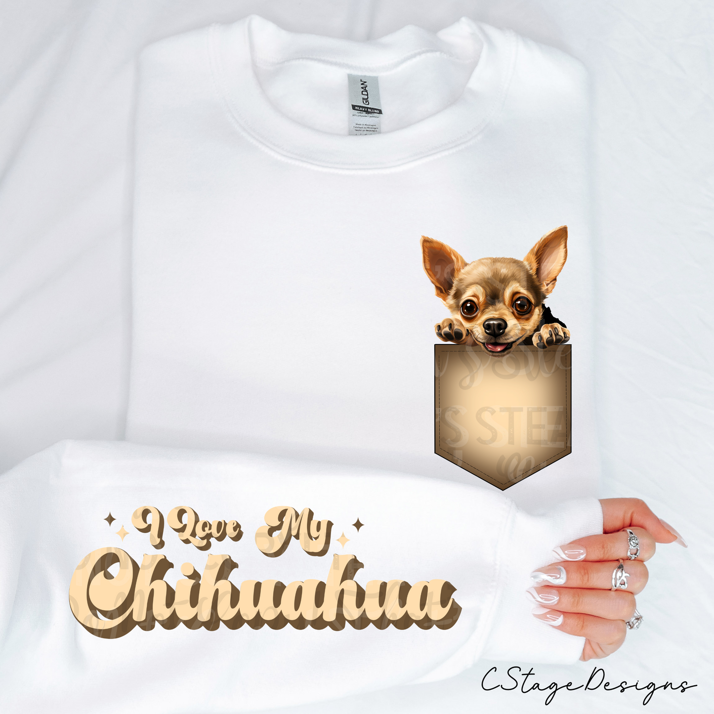 Chihuahua digital Image png