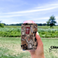 Mystery Monday 1/26 Digitals Images PNG
