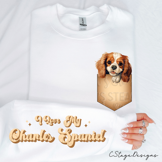 Charles Spaniel Digital Image PNG