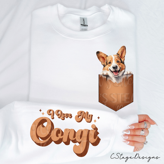 Corgi Digital Image PNG