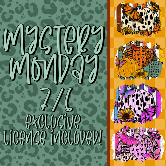 Mystery Monday 7/6 Bundle (No Tumbler, Libby or Seamless)