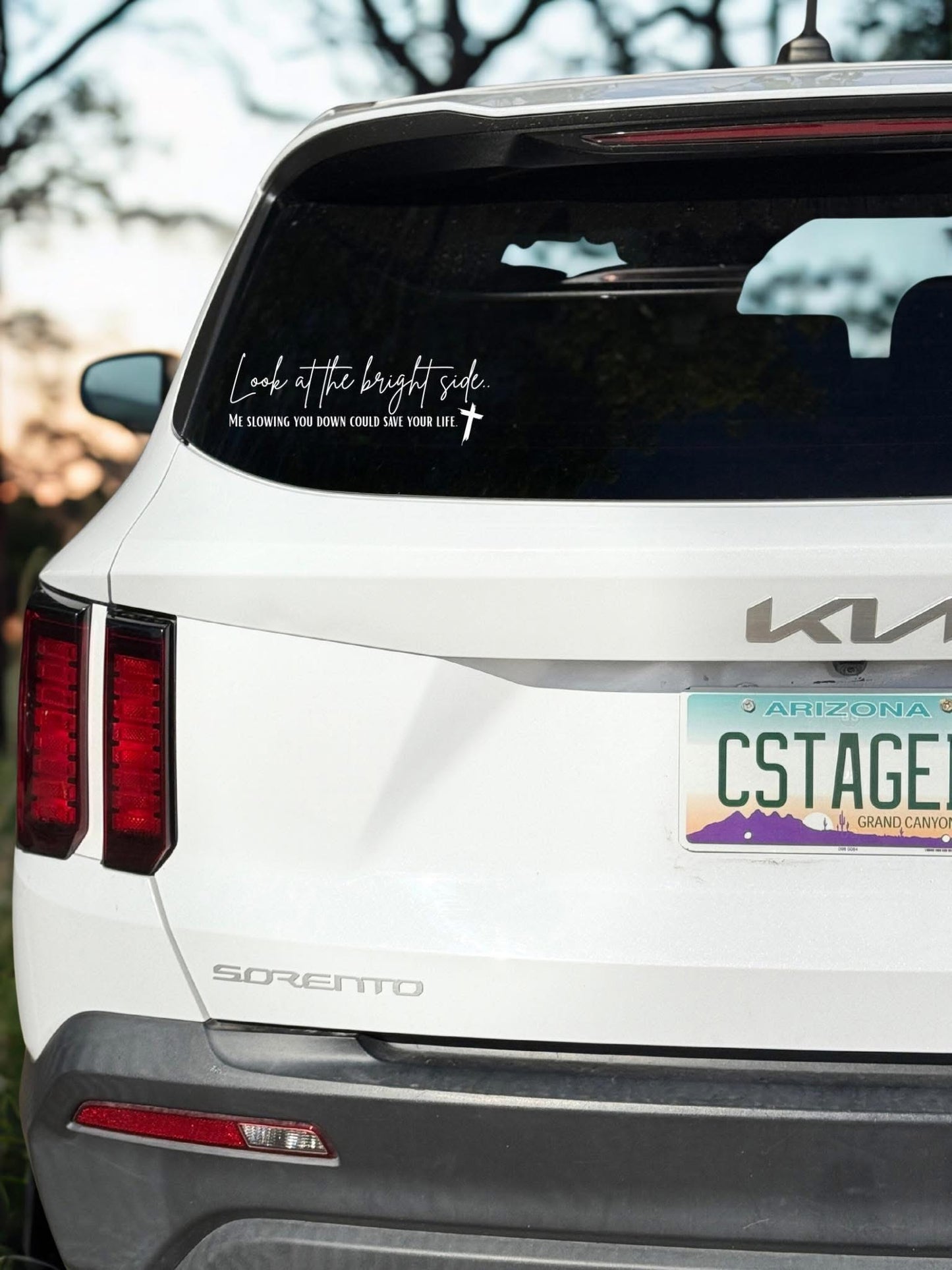 Look at the bright side, me slowing you down could save your life Digital Image PNG