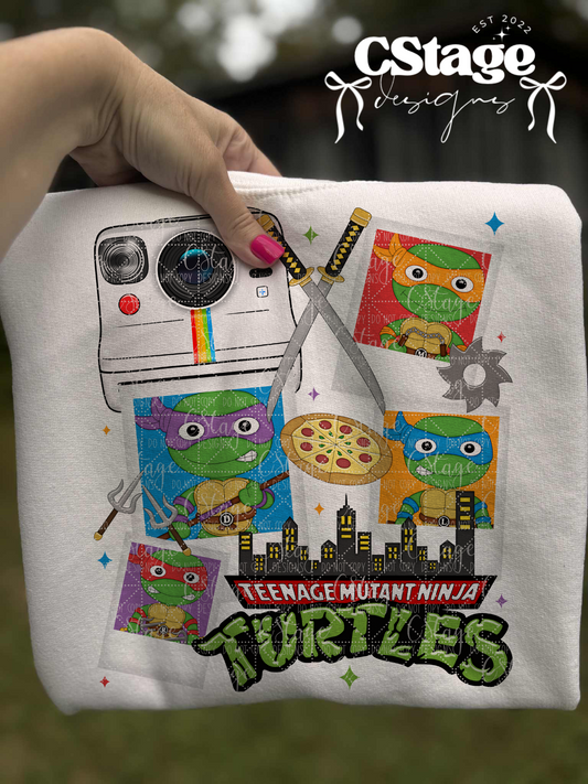 Camera Turtle Digital Image PNG