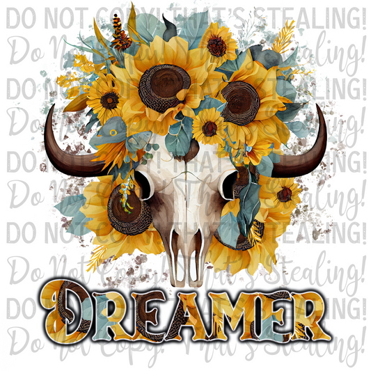 Dreamer Digital Image PNG